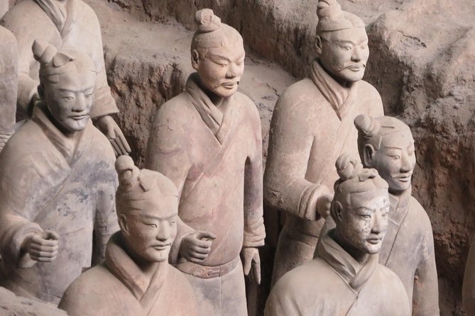 All Inclusive Day Tour to Mt. Huashan & Terra Cotta Army Museum - Guide Profile