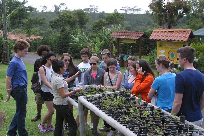 All-Inclusive Package 7 Nights 8 Days in the Best Destinations in Costa Rica - Customer Experiences and Feedback