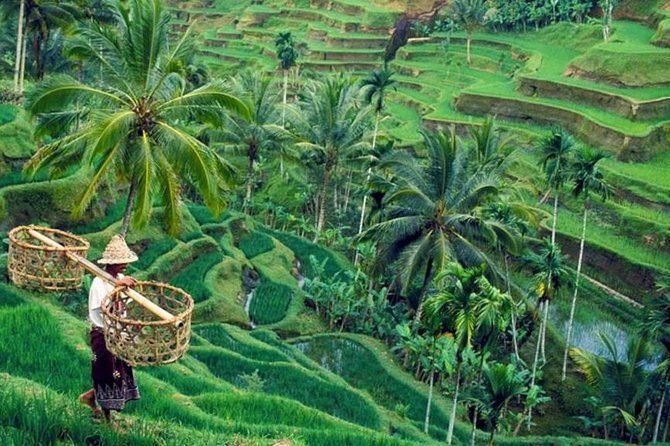 All Inclusive Ubud Private Tour - Inclusions and Exclusions