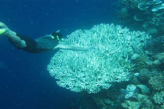 All Ticket Inclusive-Blue Lagoon Snorkeling-Ubud Monkey Forest & Ubud Waterfall - Tips for an Enjoyable Experience