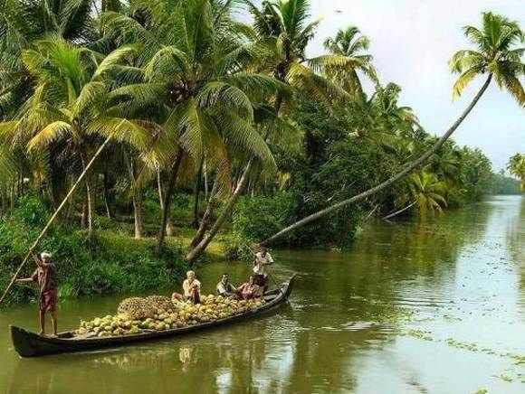 Alleppey / Alappuzha Backwater Canoe (Shikara) Cruise - Highlights and Features