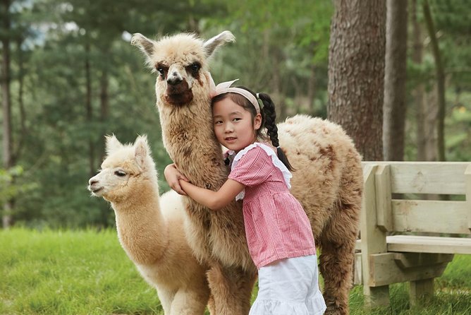 Alpaca World & Suspension Bridge Day Tour With Luge Ride - Customer Feedback