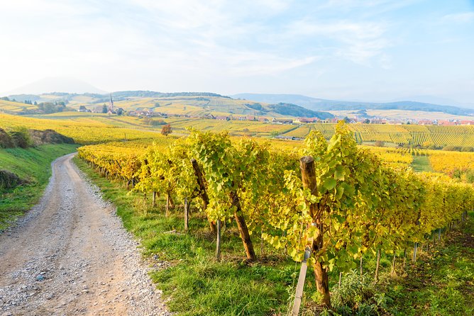 Alsace Half Day Wine Tour From Colmar - Additional Information