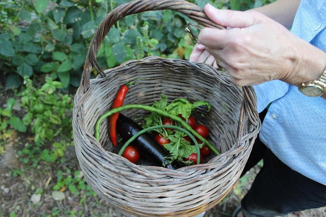 Amalfi Coast & Sorrento Cooking Class School at Farmhouse - Cooking Experience Highlights