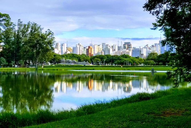 Amazing São Paulo Overview in 4 or 5 Hours With a Private Guide - Pickup Locations and Details