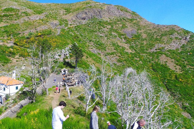 Amazing Skywalk, Wine Tasting & 4x4 Adventure + Dolphin Watching - Inclusions and Amenities