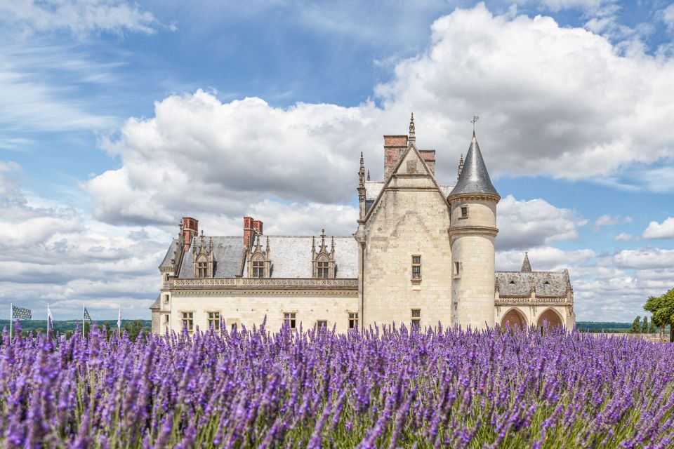 Amboise: Photography Masterclass - Highlights of the Class