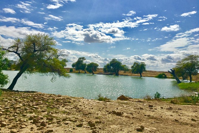 An Overnight Non-touristic Camel Safari (2PM to 11:30 AM Next Day) - Guest Reviews