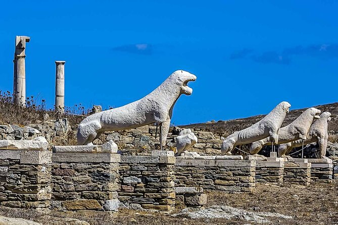 Ancient Delos Tour - Tour Experience Feedback