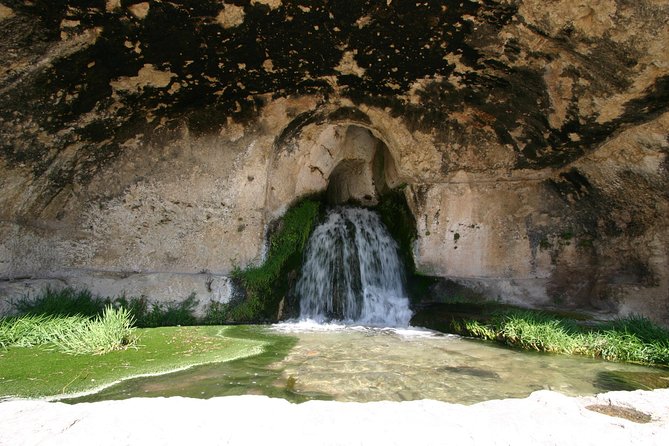 Ancient Syracuse: Private Guided Tour of the Neapolis Archaeological Park - Guide and Walking Tour