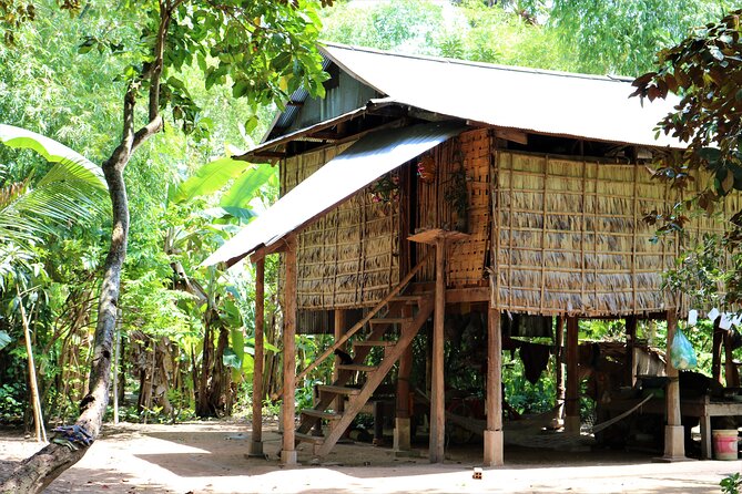 Angkor Wat Highilights and Tonle Sap Lake Private Tour - Activities and Experiences