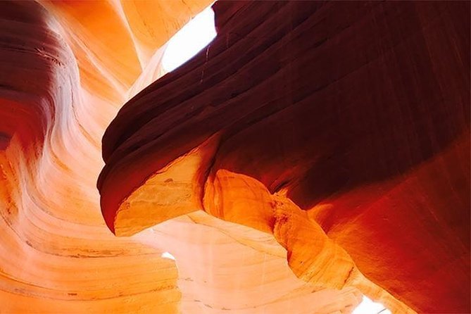 Antelope Canyon & Horseshoe Bend From Vegas, Lunch, Free Wifi - Inclusions and Amenities