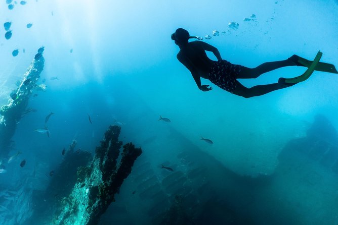 Antilla Shipwreck and Catalina Bay Snorkel Sail - Highlights of Catalina Bay