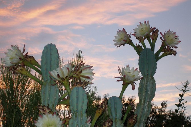 Apache Trail and Dolly Steamboat Van Tour - Dolly Steamboat Cruise