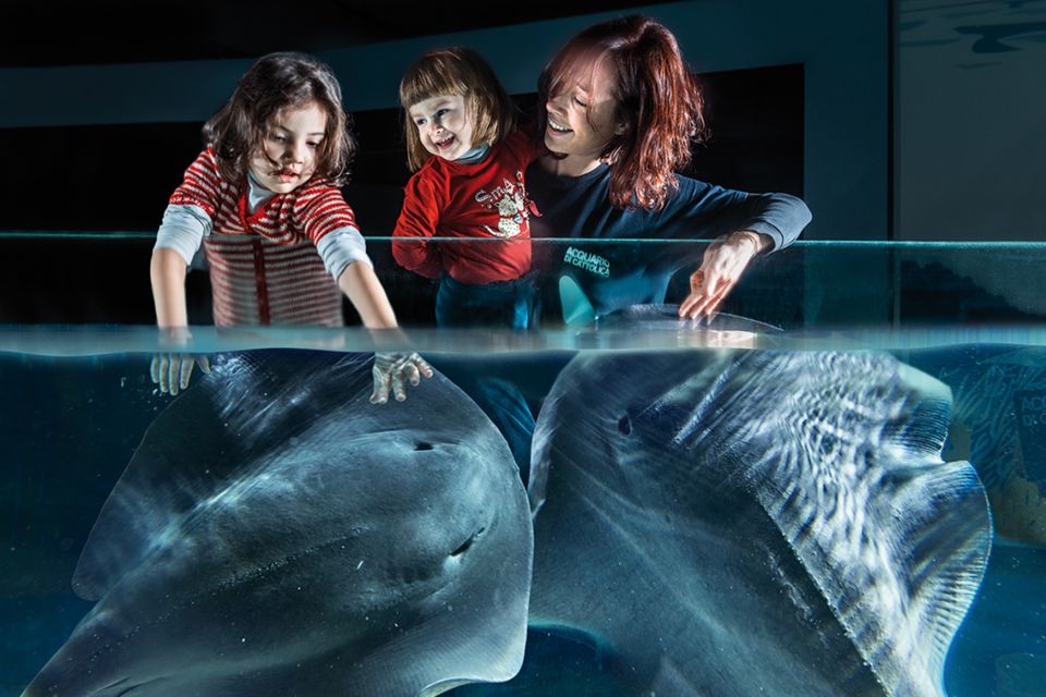 Aquarium of Cattolica Entry Ticket - Encounter With Dinosaurs