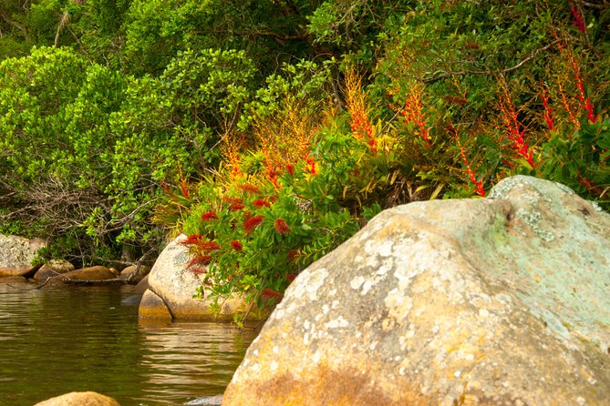 Aquatic Trail Lagoon and Red River by Adrenailha - Participant Requirements