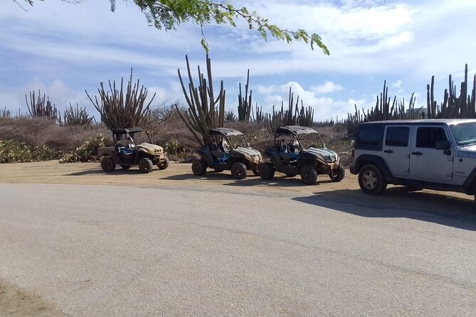 Arawak UTV Trail - Guest Reviews and Ratings