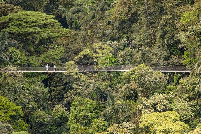 Arenal Best 4 Attractions (Full Day - Combo) Incl. Lunch & Dinner - Sunset at Arenal Volcano