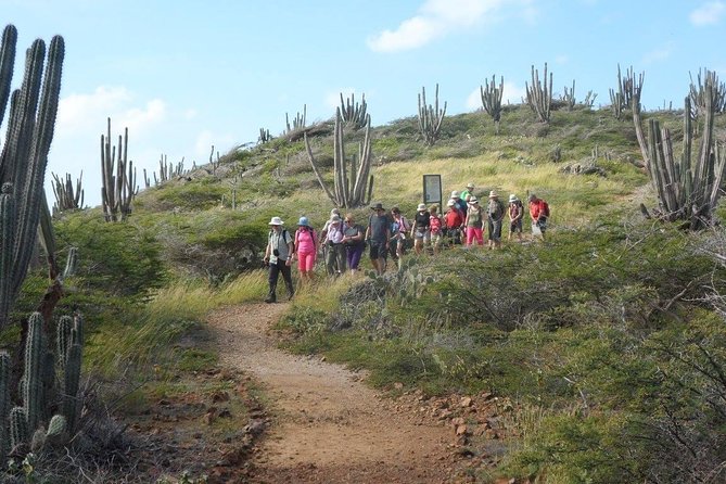 Arikok Adventurous Hiking Experience in Aruba - Guided Experience Benefits