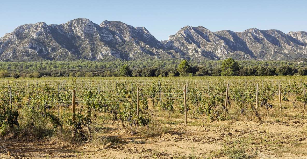Arles, Saint-Rémy & Les Baux De Provence: Guided Tour - Itinerary Highlights