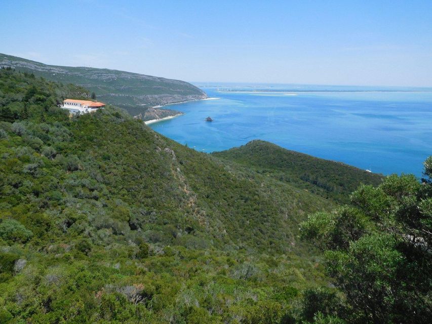 Arrabida Private Wine Tour on a Mercedes Convertible 2/3 Pax - Included in the Tour