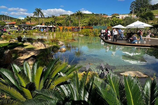 Art Of Wine – Travel Through The So-Called Wine Route Visiting Various Wineries - Transportation and Logistics