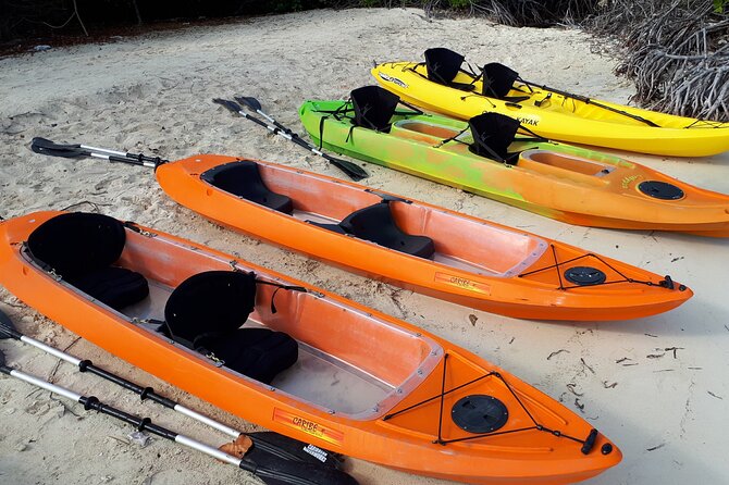 Aruba Glass Bottom Kayak Tour Through the Mangrove Forest - Underwater Wonders