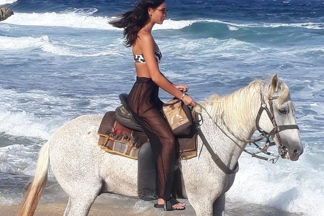 Aruba Horseback Riding Tour For Advanced Riders - Traveler Reviews