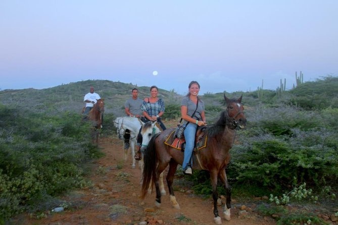 Aruba Horseback Riding Tour to Hidden Lagoon - Safety Guidelines