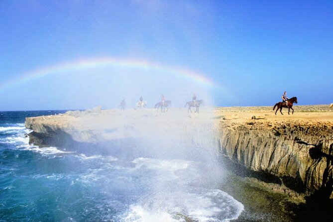Arubas Northern Coast Horseback Adventure - Inclusions and Provided Equipment