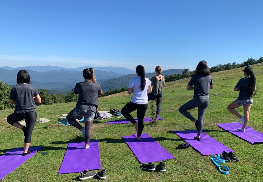 Asheville: Yoga on a Mountain Hike - Yoga Session