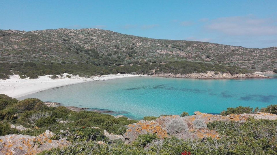 Asinara National Park: Full Day Off-Road Tour - Experience and Activities