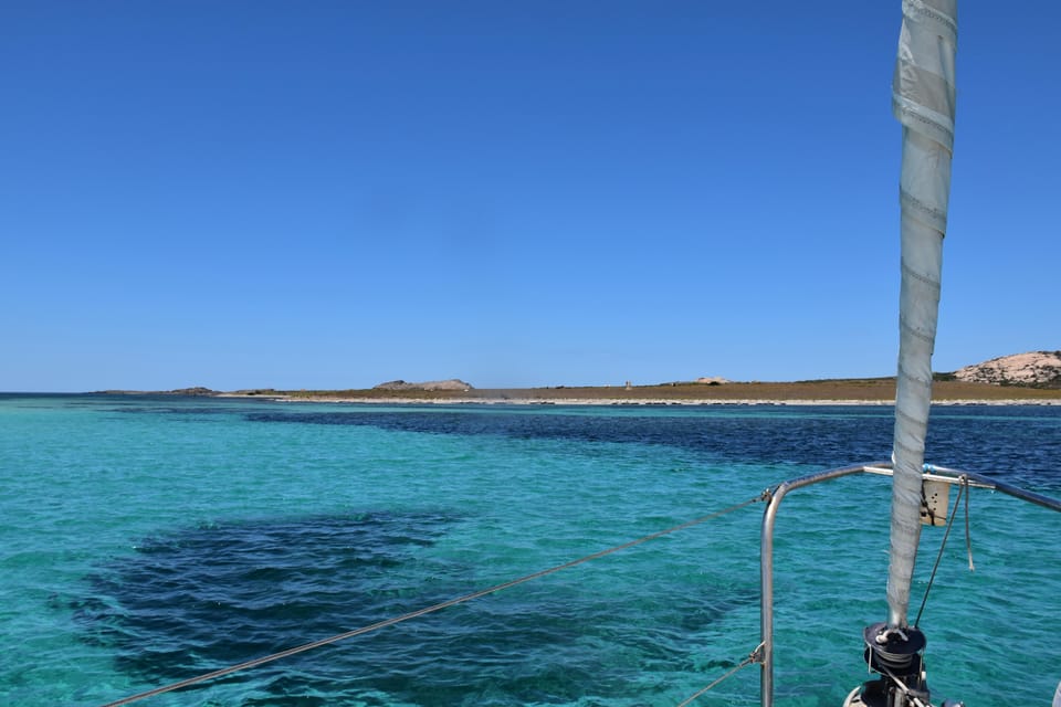 Asinara: Sailing Experience Among the Coves of the Island - Itinerary Highlights