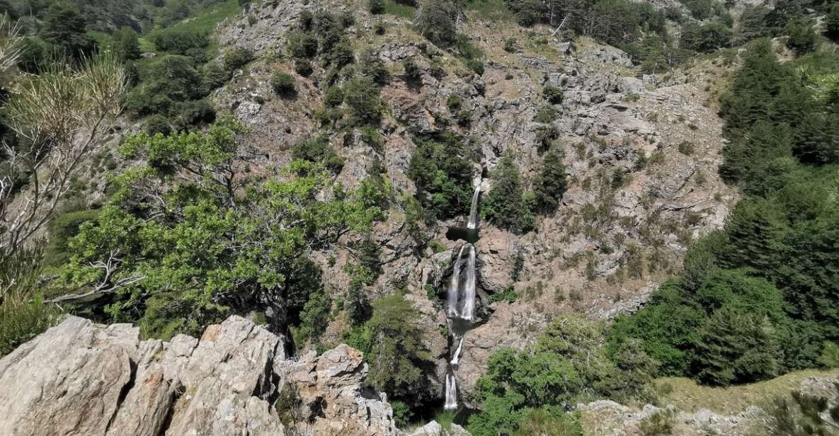 Aspromonte National Park: Private Trek to the Maesano Falls - Activities