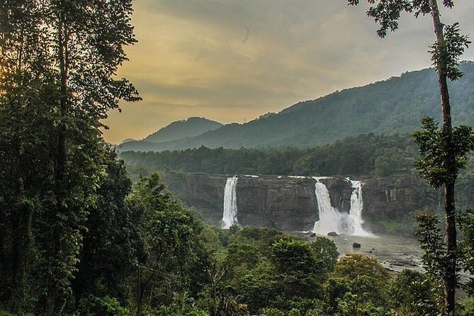 Athirappilly & Vazhachal Waterfalls Private Day Tour From Kochi - Tips for Your Visit