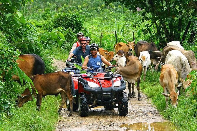 ATV & Buggy Seaview On Tour + Phuket Big Buddha Visit - Safety and Accessibility