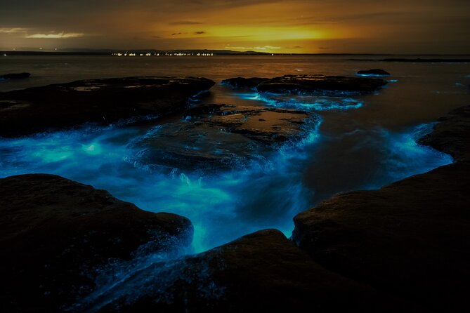 Auckland Bioluminescence Kayak Tour - Inclusions and Amenities