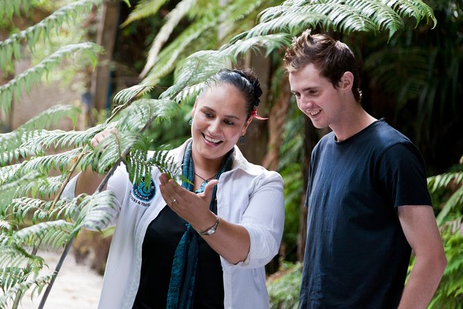 Auckland Maori Tour - Transportation and Comfort