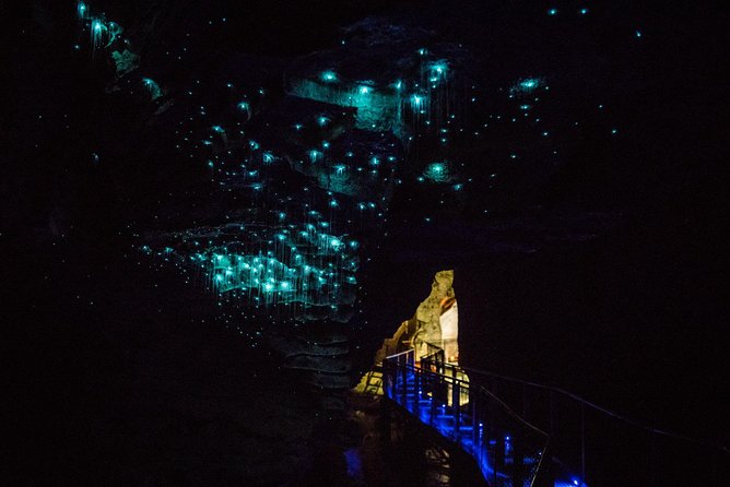 Auckland to Rotorua via Waitomo Caves Small Group Tour (One Way) - Included Amenities