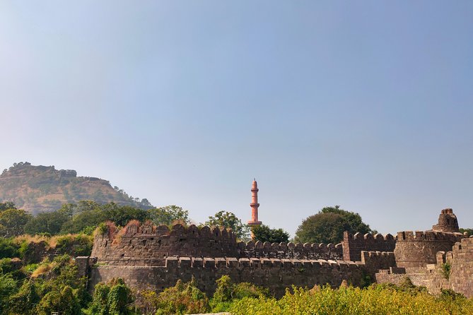 Aurangabad Ellora Caves Sightseeing - Day Tour - Accessibility Features