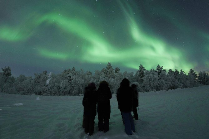 Aurora Photography Hunting Experience in Rovaniemi - Tour Accessibility and Participation