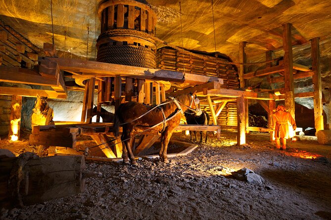 Auschwitz-Birkenau and Wieliczka Salt Mine Full Day Tour - Customer Feedback and Reviews