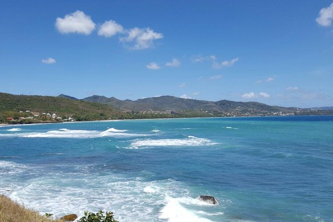 Authentic Tour of Southern Martinique - Traveler Reviews and Feedback