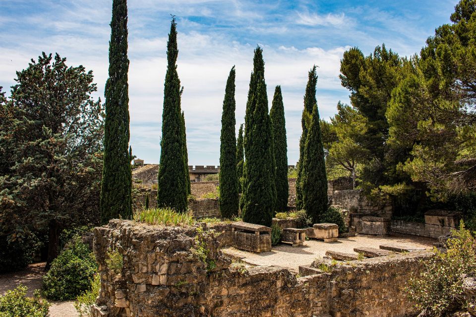 Avignon Private Guided Tour and Wine Tastings From Marseille - Wine Tasting Experience