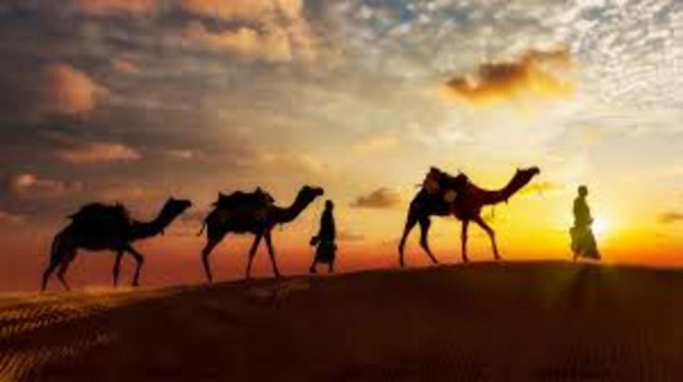 Away From the Crowd Dinner on Dunes/ in Non Touristic Desert - Detailed Itinerary