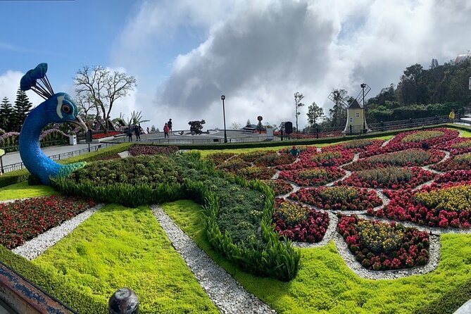 Ba Na Hills & Golden Bridge Tour From Da Nang - Tour Logistics