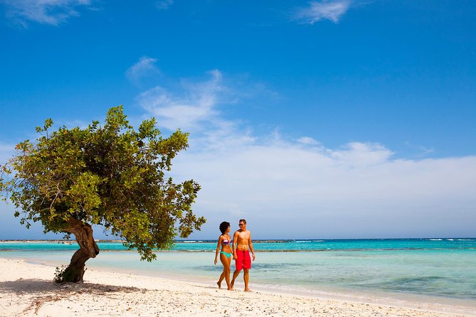Baby Beach Off-Road Safari - Local Guide Expertise