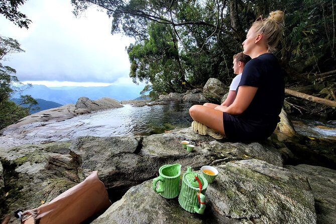 Bach Ma National Park Trekking Daily Tour From Hue - Enjoying Picturesque Waterfalls and Streams