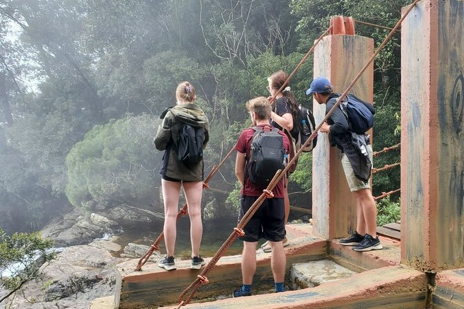 Bach Ma National Park Trekking Tour 1 Day From Hue City, Vietnam - Park Peak Experience