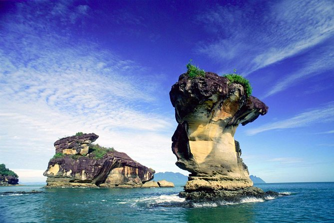 Bako National Park From Kuching City - Wildlife Spotting Opportunities